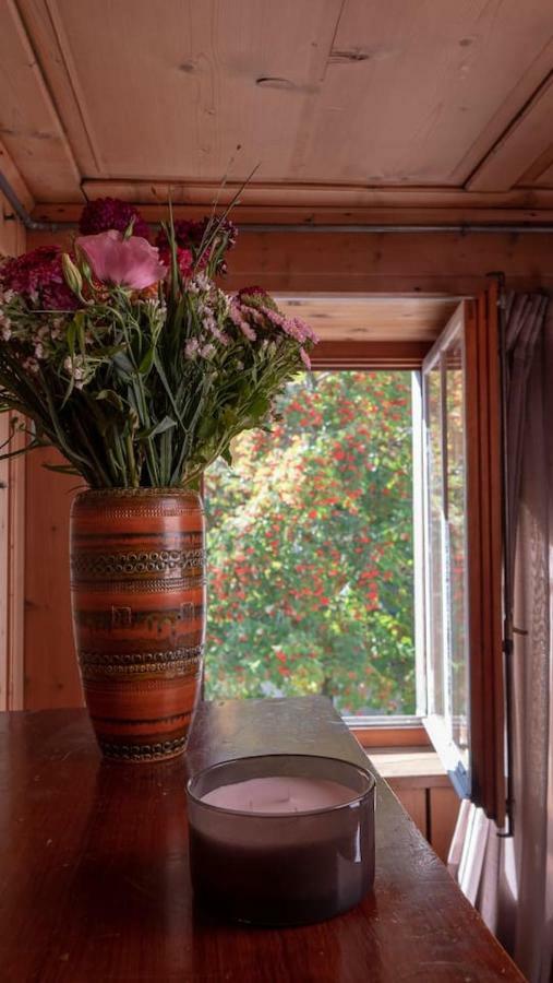 Ferienhaus Septimer Bivio Exterior photo